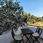 فيلة Iliana By The Naxos City